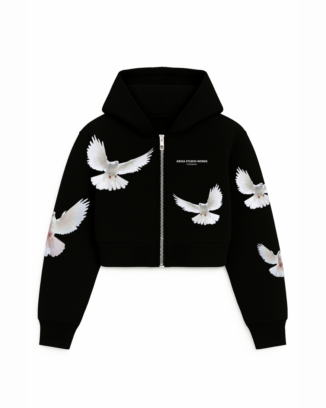 CROPPED WINGS GX8.3