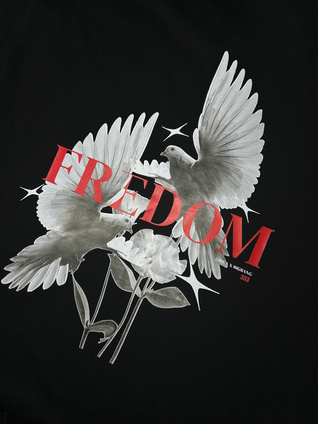 CAMISETA FREDOM GX1.10