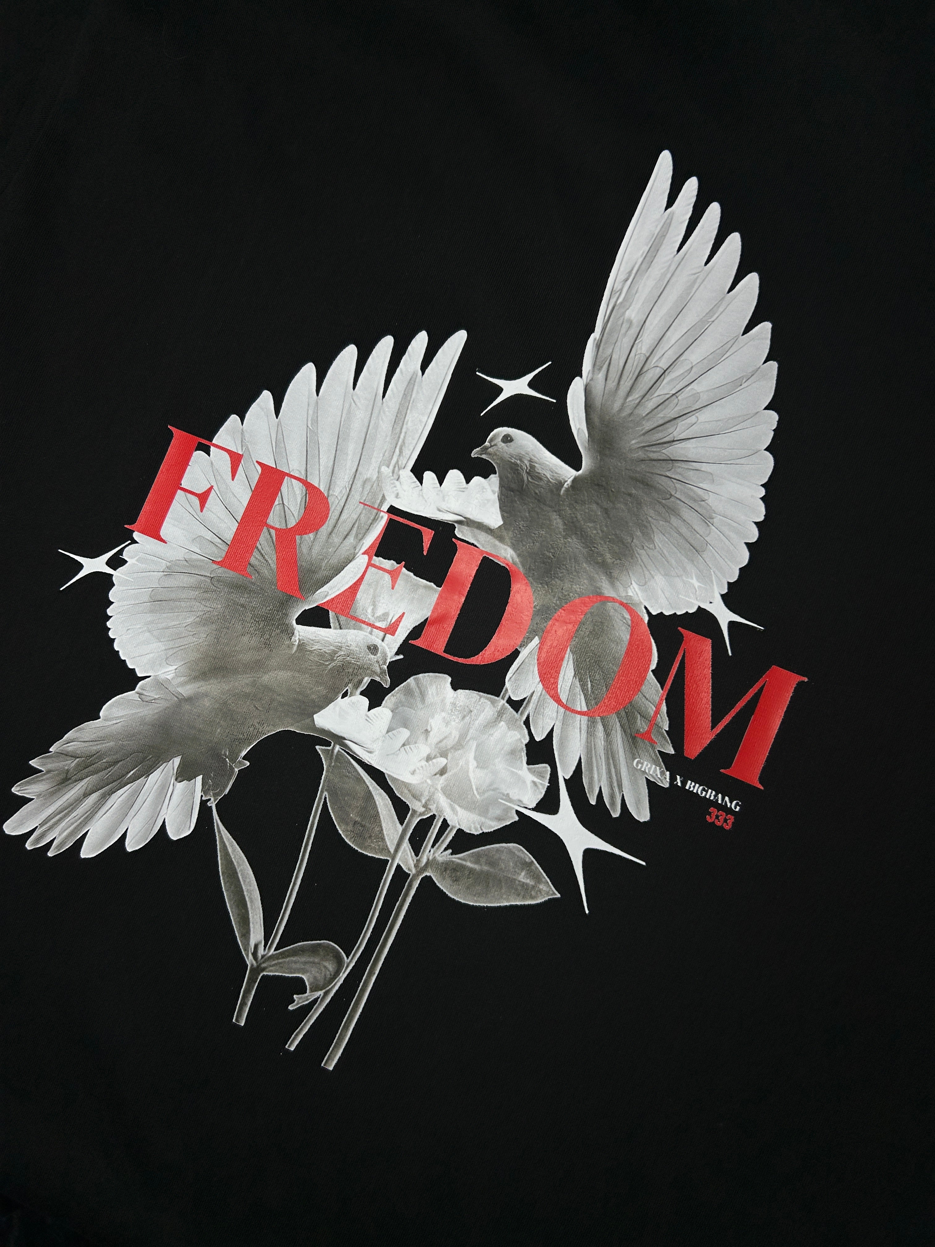 CAMISETA FREDOM GX1.10