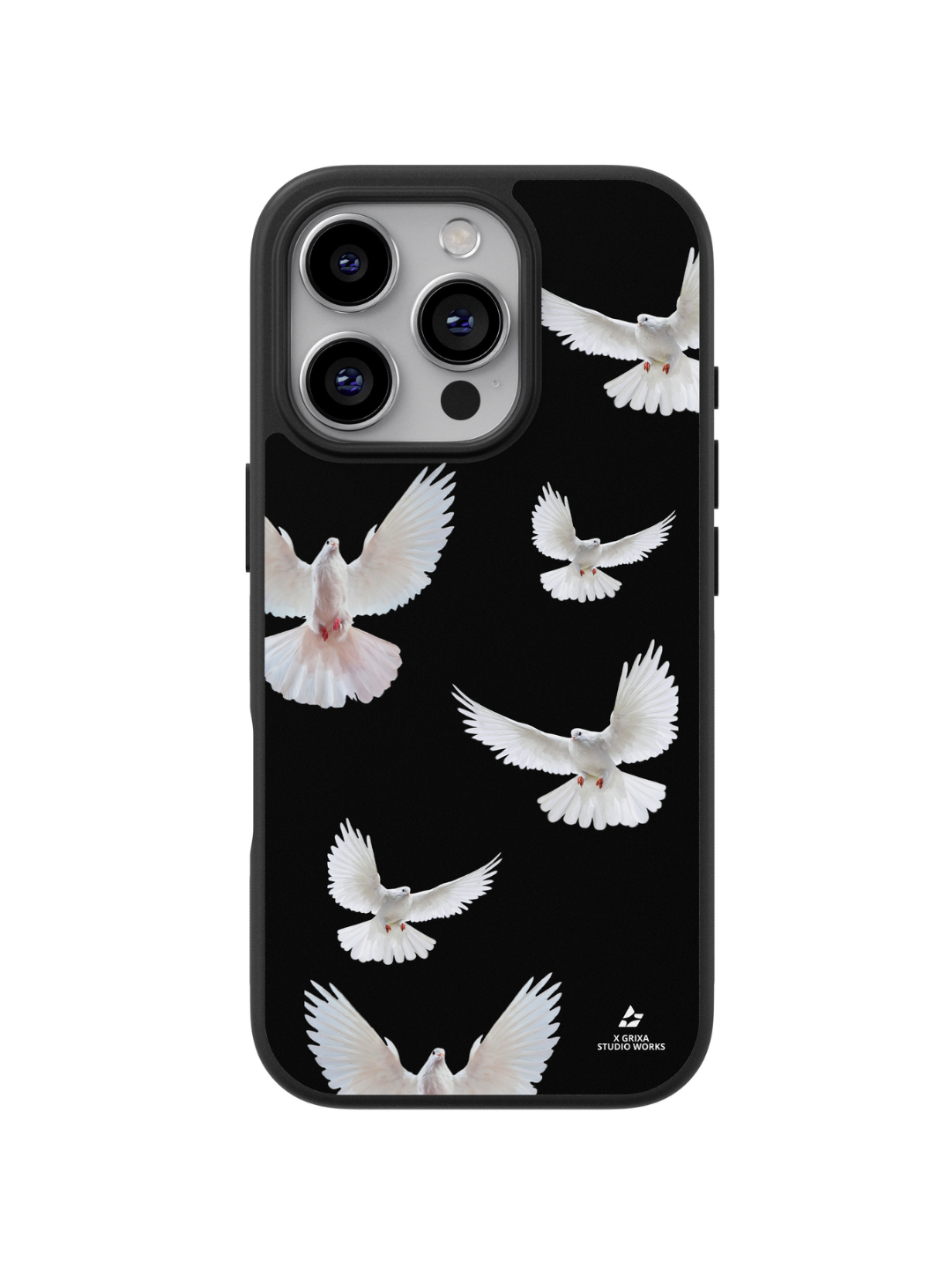 CASE PIGEON | GxB
